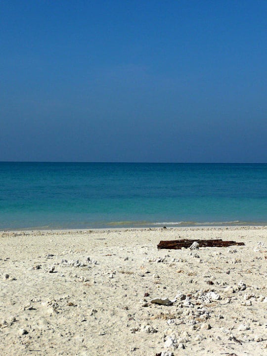 Korallen am Strand Kantary Beach Hotel - KHAO LAK