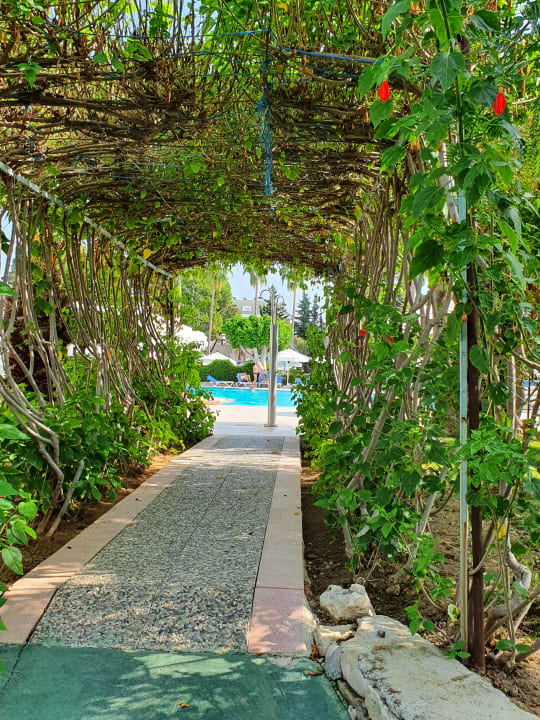 Gartenanlage Iz Flower Side Beach Hotel