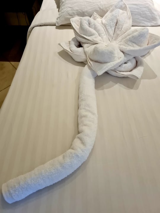 Zimmer Three Corners Sea Beach Resort