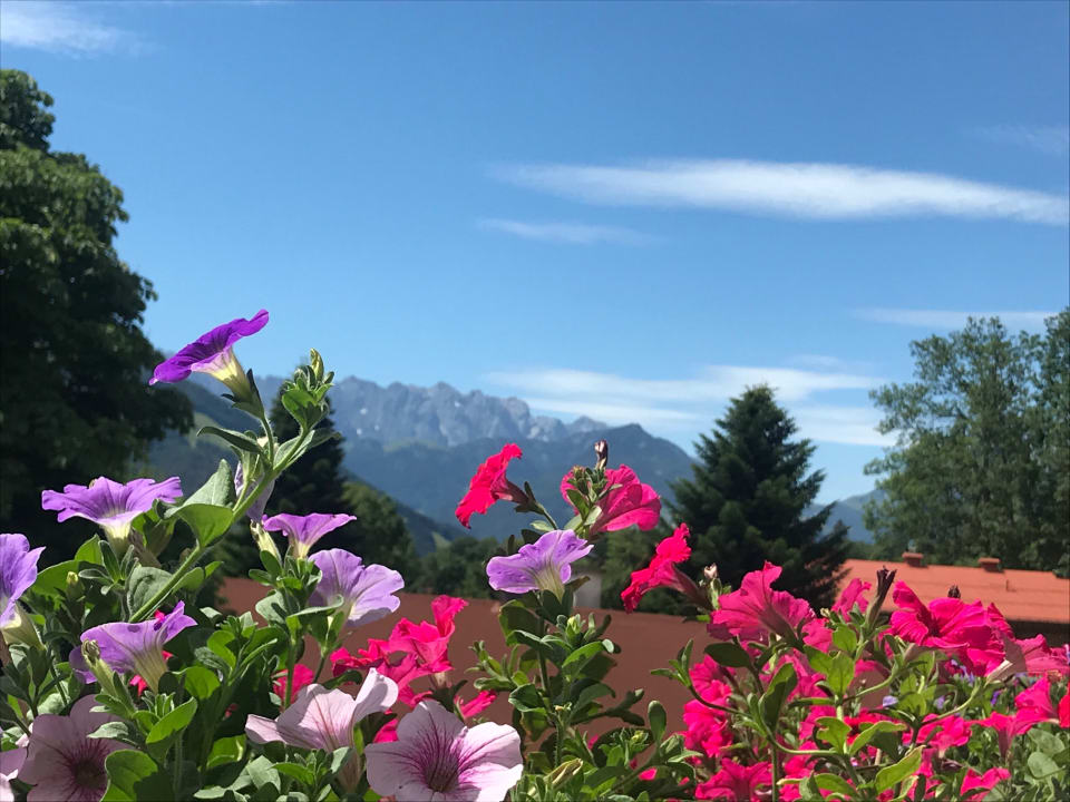 Ausblick Ferienwohnungen Bella Vista