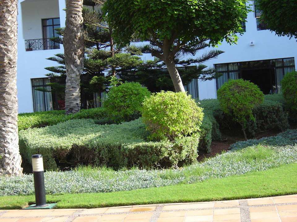 Rasen und Palmen im Garten Iberostar Waves Founty Beach