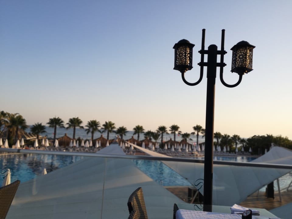 Gastro Paloma Oceana