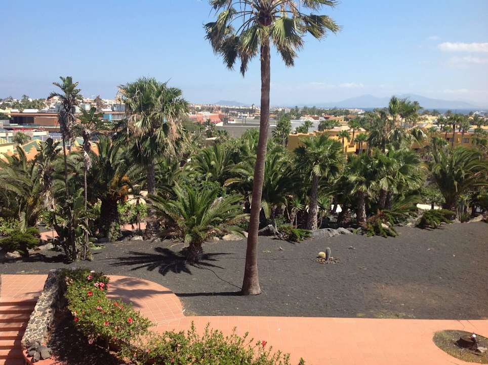 Garden Hotel Oasis Royal