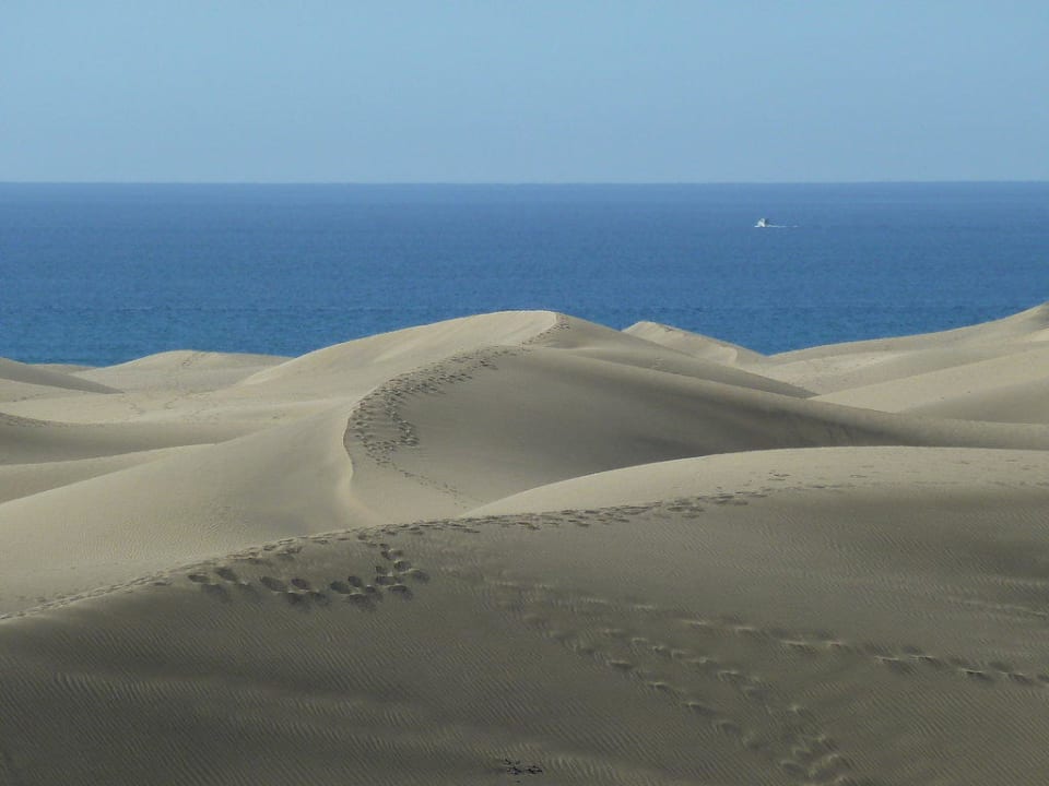 Dünen von Maspalomas Hotel Riu Palace Maspalomas Adults Only