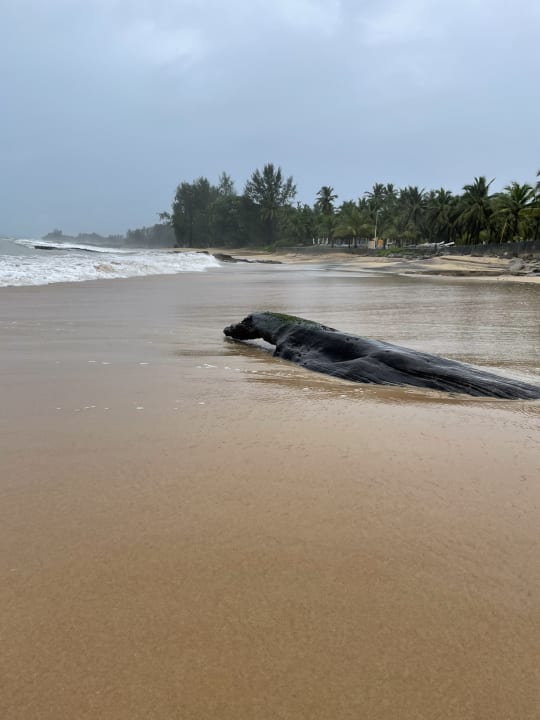 Strand Khaolak Bhandari Resort & Spa
