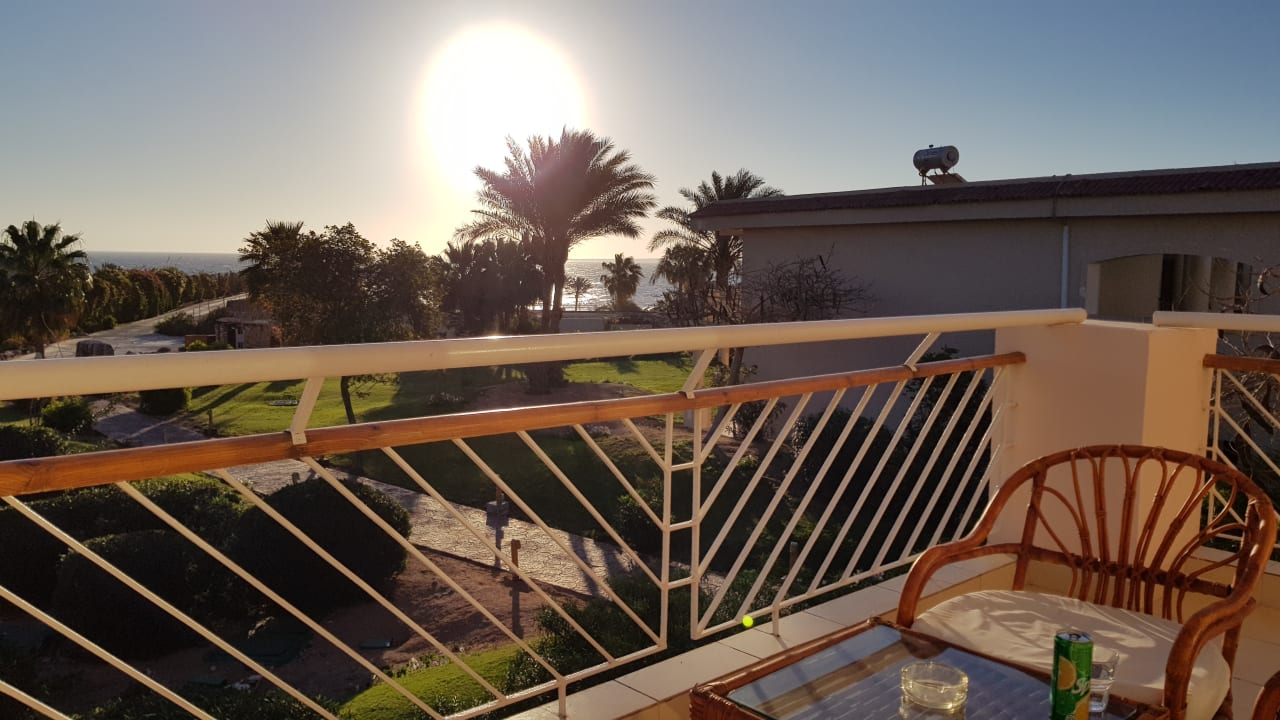 Ausblick Parrotel Beach Resort