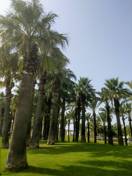 Gartenanlage Monachus Family Resort Sorgun