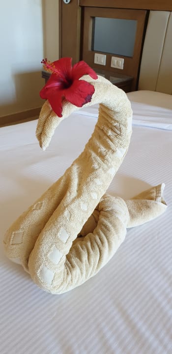 Zimmer Serenity Alpha Beach