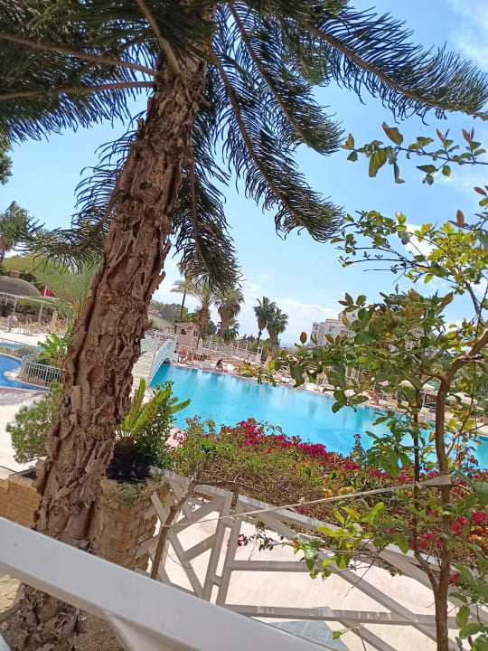 Pool Seaden Corolla Hotel