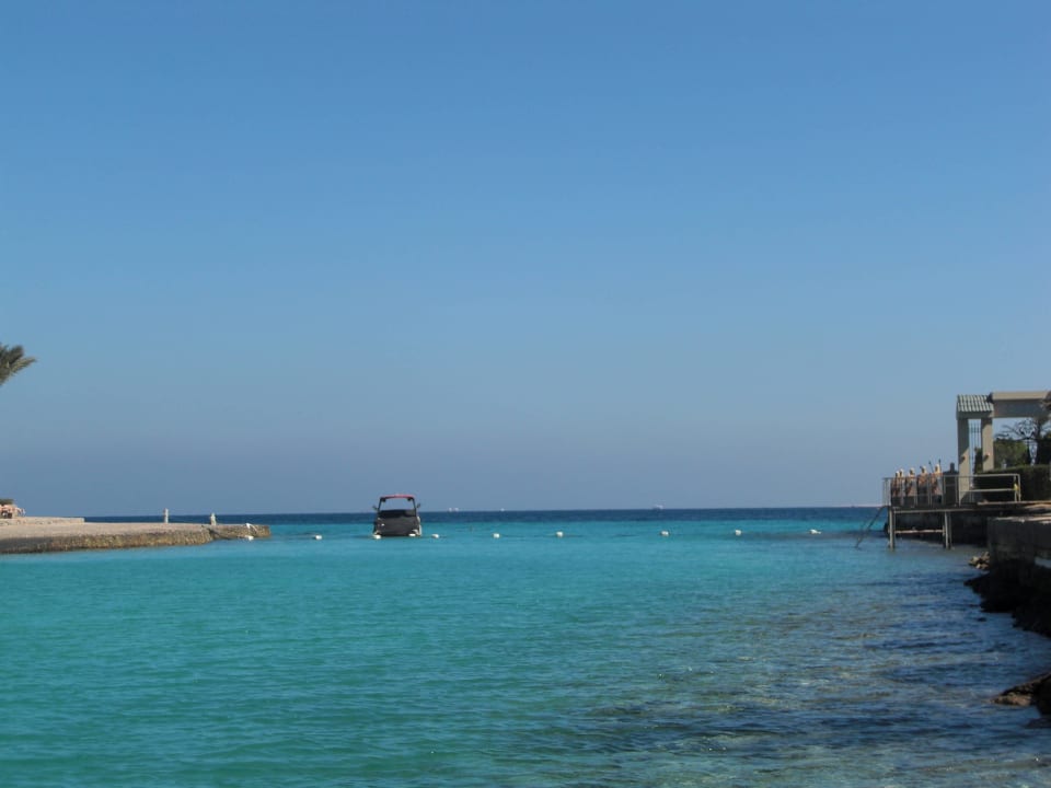 Dort hinten kann man super schnorcheln  Sunny Days El Palacio Resort & Spa