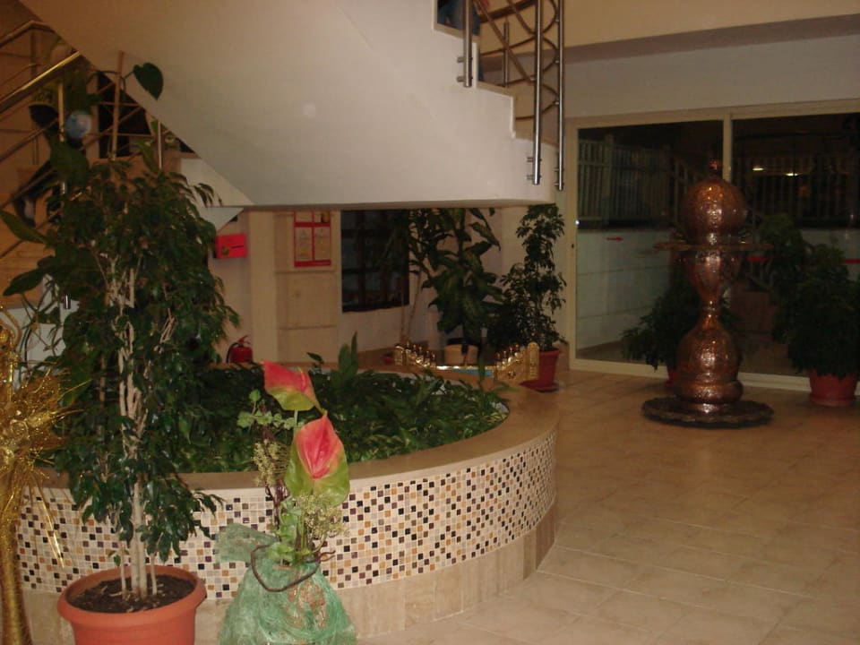 Jede Ecke sieht schön aus Trendy Palm Beach (Adults Only, 16+)