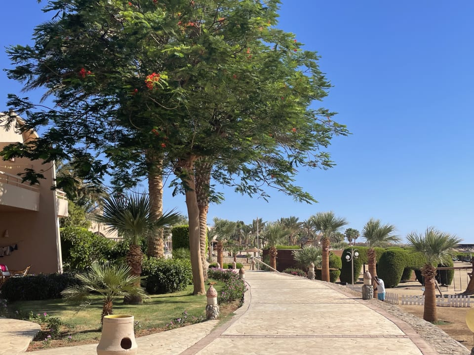 Gartenanlage Shams Alam Beach Resort