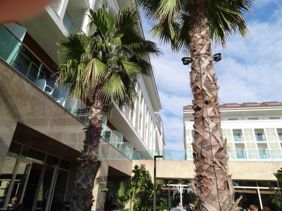 Ansicht im Innenhof Sentido Trendy Verbena Beach