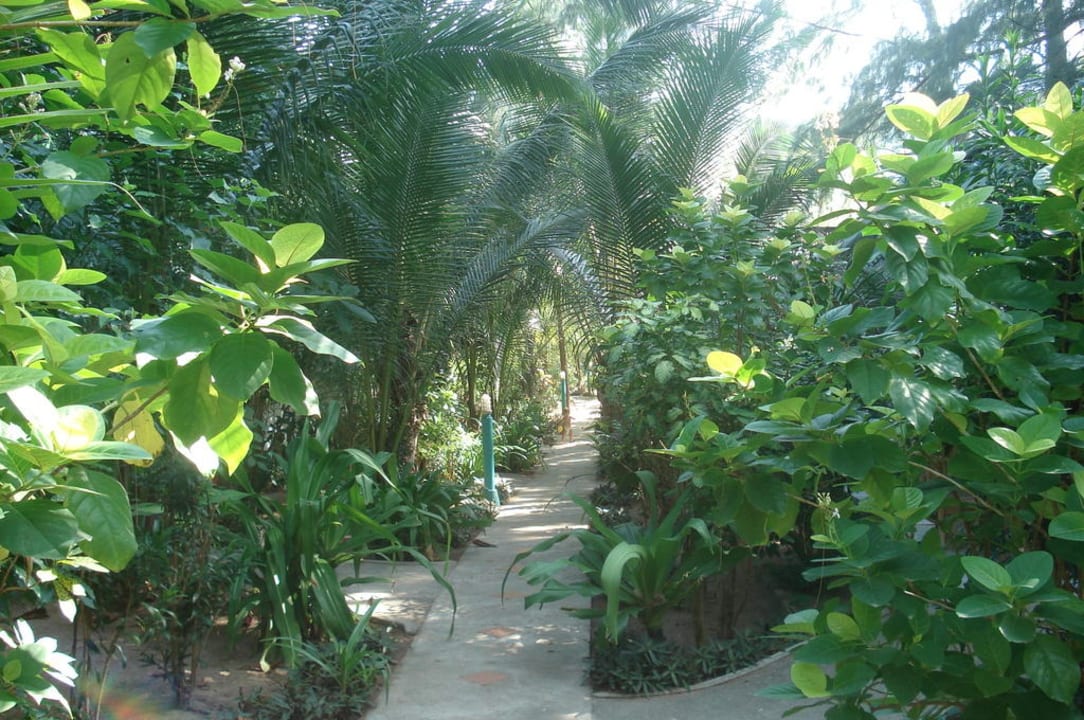 Einer der Wege durch die Anlage Hotel Lanta Island Resort