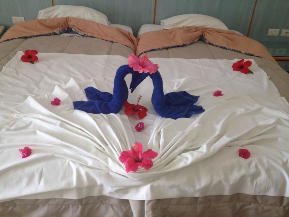 Zimmer  Calimera Yati Beach