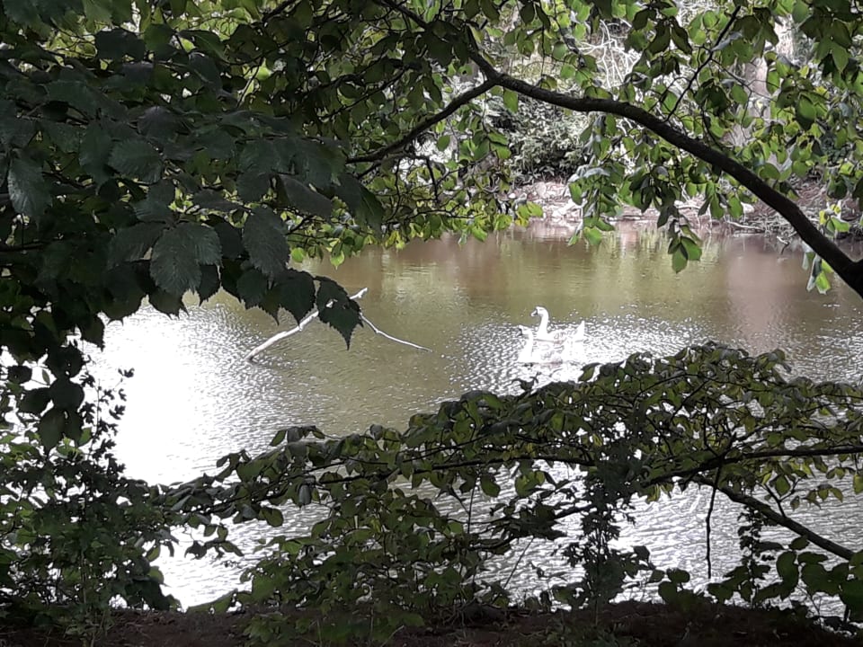 Sonstiges Hofgut Wollin