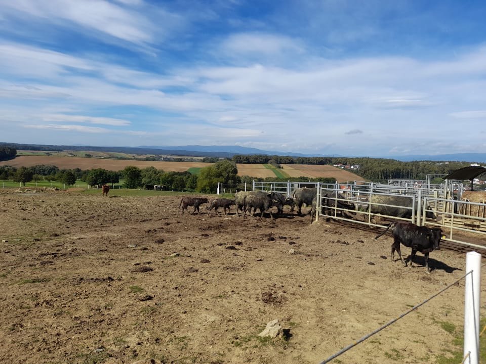 Sport & Freizeit Hotel Reiters Supreme