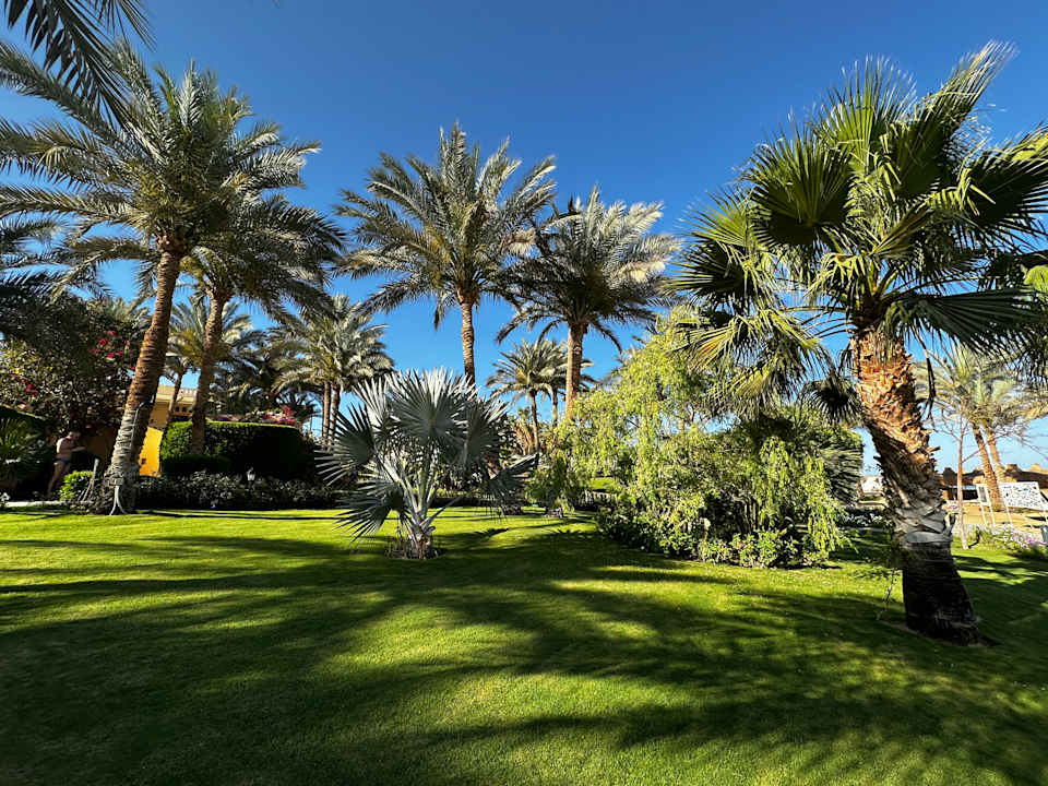 Gartenanlage Steigenberger Coraya Beach - Adults only