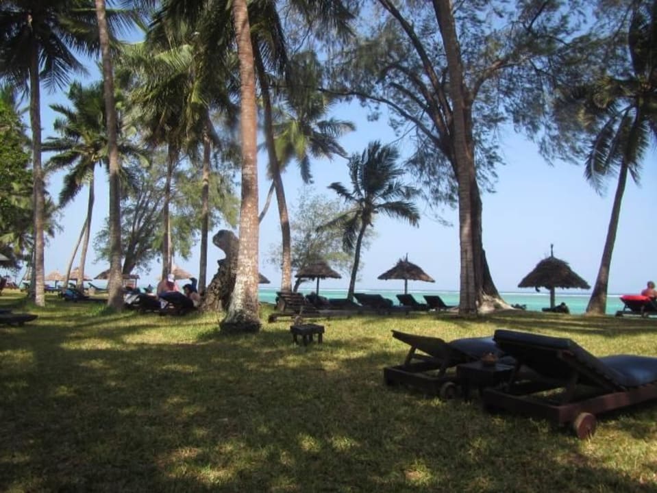 Garten mit Liegen Hotel Diani Sea Lodge