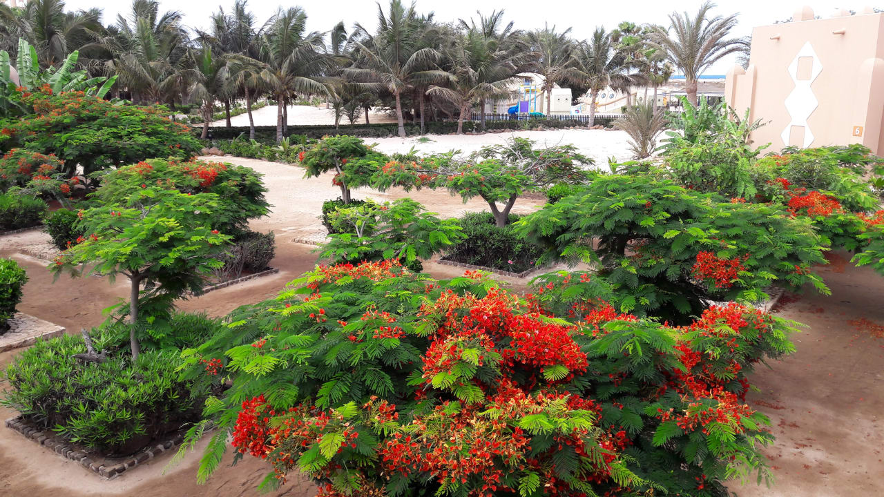 Gartenanlage Hotel Riu Funana