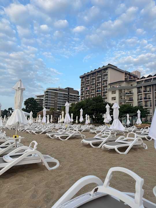 Strand Sentido Marea