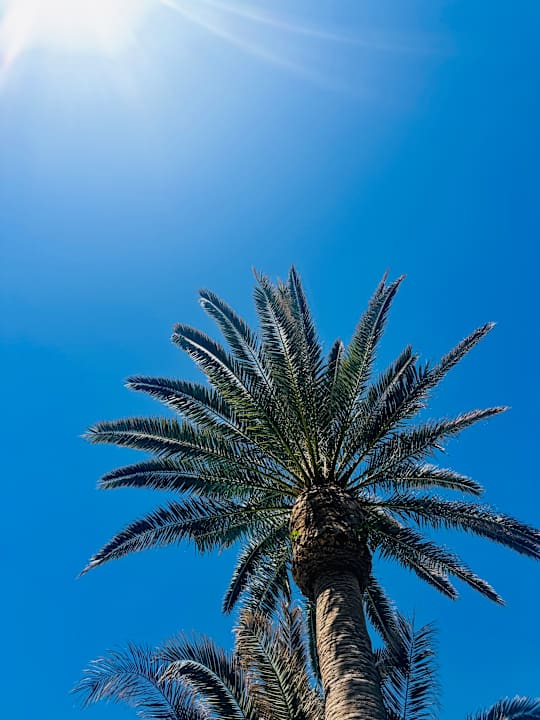 Außenansicht Calimera Sirens Beach