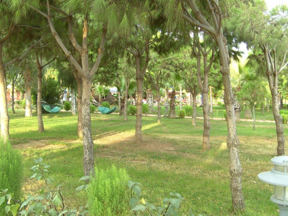 Einfach mal Abschalten Club Turtas Beach Hotel