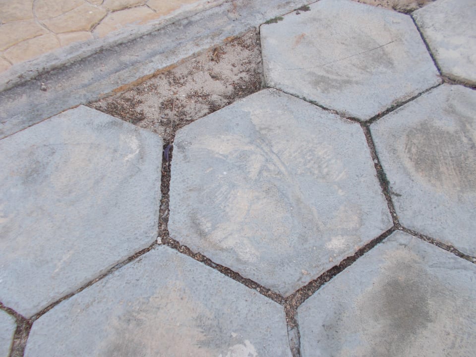 Sonstiges Sirenis Tropical Varadero