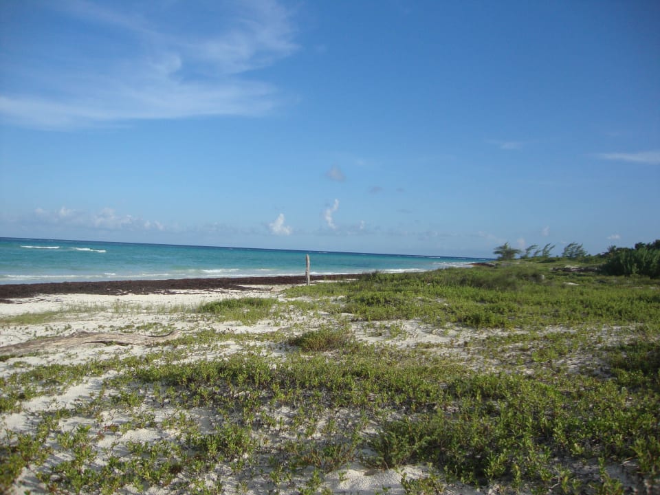 Hotel Catalonia Playa Maroma Catalonia Playa Maroma