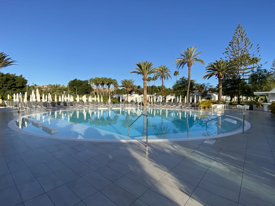 Pool Canary Garden Club