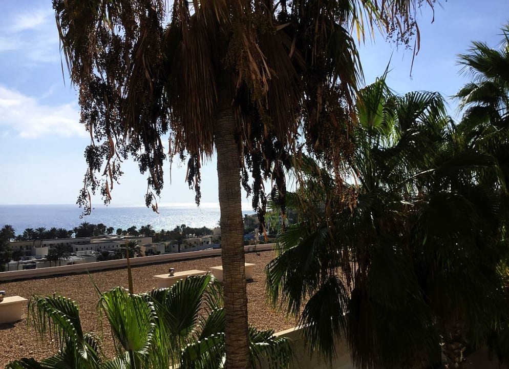 Ausblick Servatur Alameda de Jandía