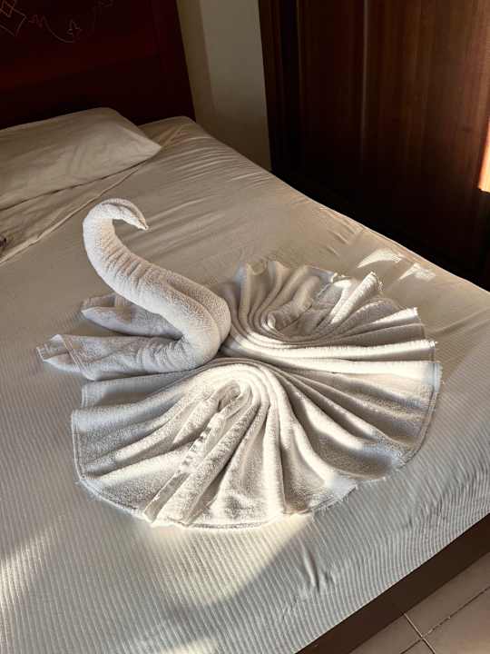 Zimmer Royal Star Beach Resort