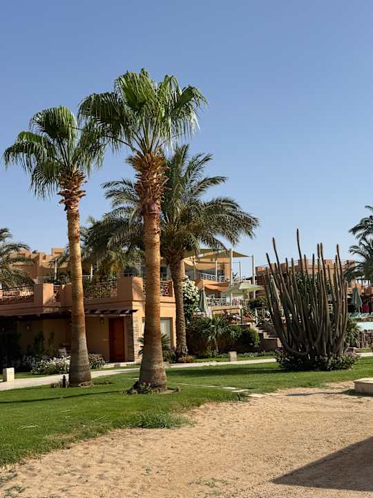 Gartenanlage Shams Prestige Abu Soma-Adults Only