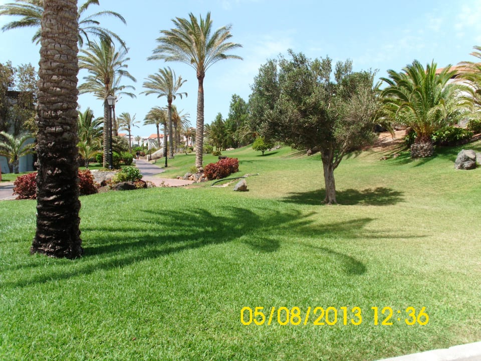 Gartenanlage TUI MAGIC LIFE Fuerteventura