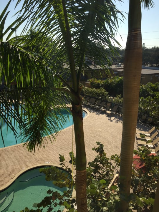 Pool Hotel Hampton Inn St. Petersburg