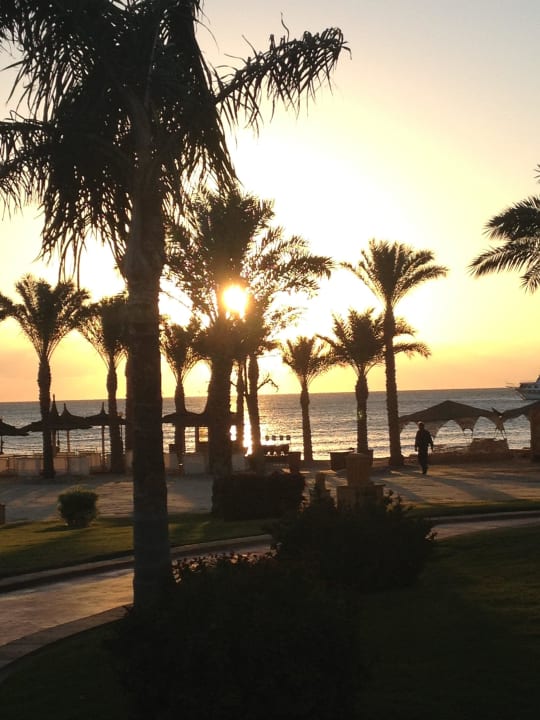 . Pickalbatros Palace Resort