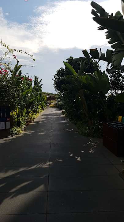 Gartenanlage Liu Resorts