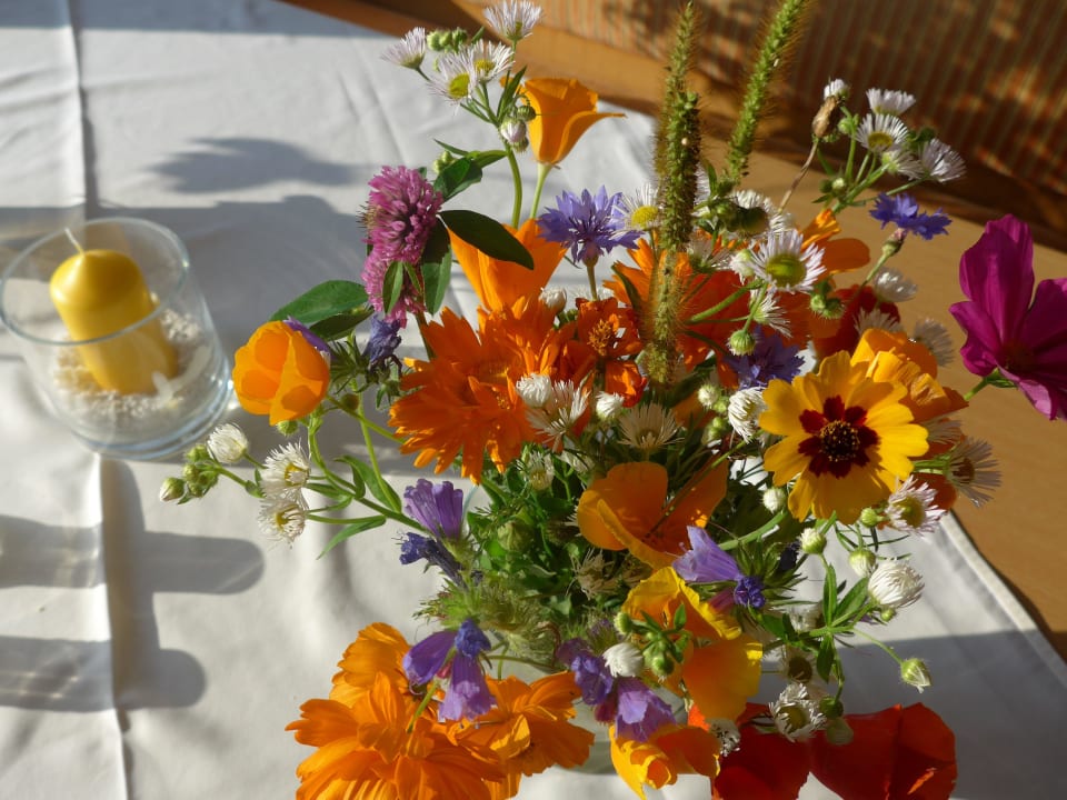 "Schöne Blumen vom Wegesrand" Hotel Eichberg (Glottertal