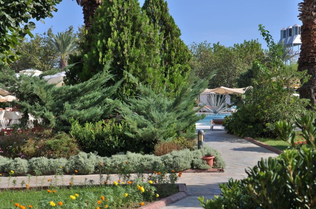 Blick zum Pool Le Jardin Resort