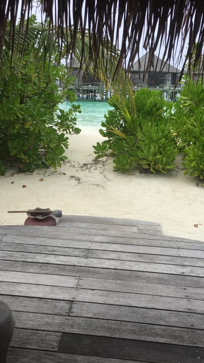 Zimmer Kuredu Island Resort & Spa