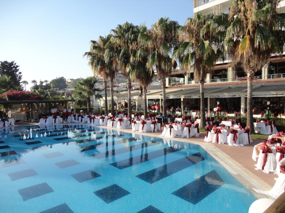Gala Trendy Palm Beach (Adults Only, 16+)