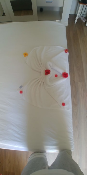 Zimmer Well Palace Side