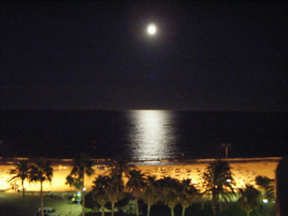 Mond Hipotels Hipocampo