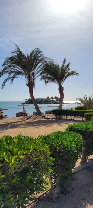 Gartenanlage Mövenpick Resort & Spa El Gouna