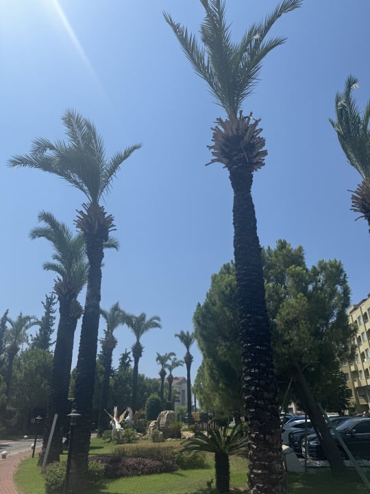 Außenansicht Selectum Family Resort Side