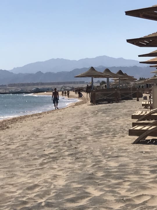 Strand Shams Prestige Abu Soma-Adults Only