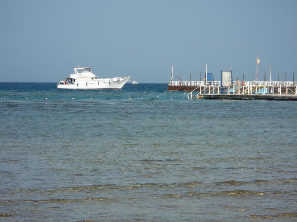 Erst über den Steg ins Meer sonst Verletzungsgefahr Pharaoh Azur Resort