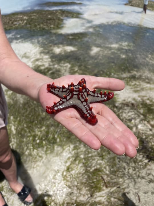 Strand Baobab Beach Resort & Spa