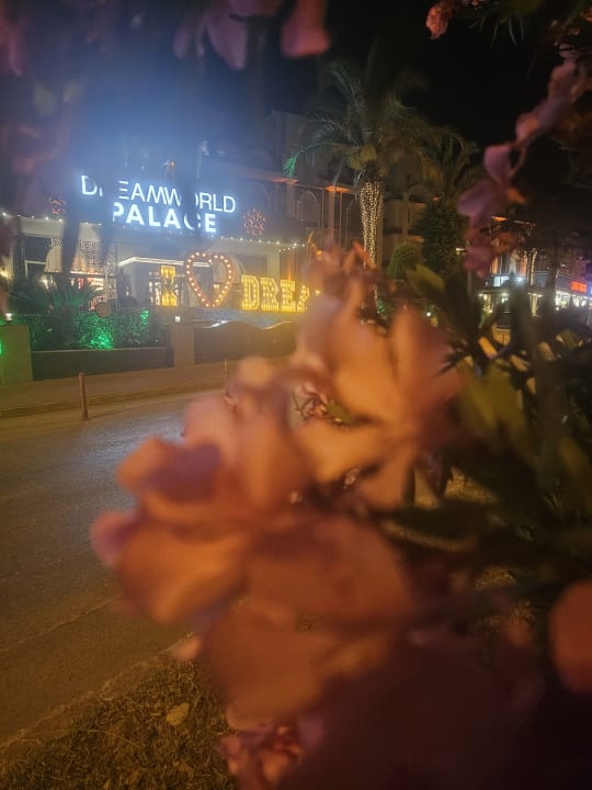 Gartenanlage Dream World Palace Hotel