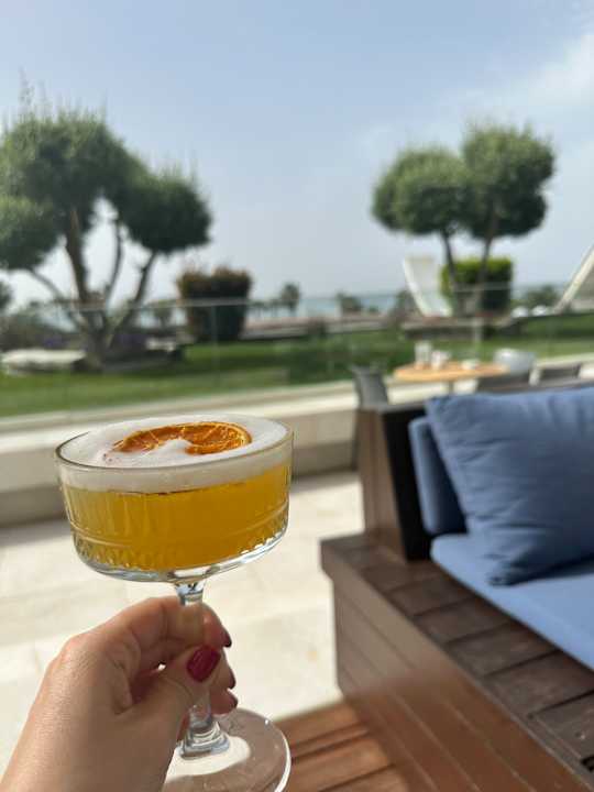 Gastro Voyage Sorgun